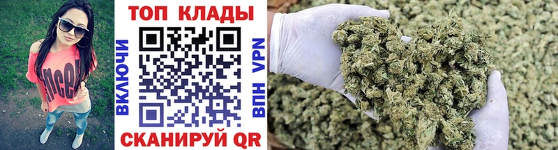 Где найти наркотики Кудрово Cocaine  Канабис  Мефедрон  Alpha-PVP  Гашиш 