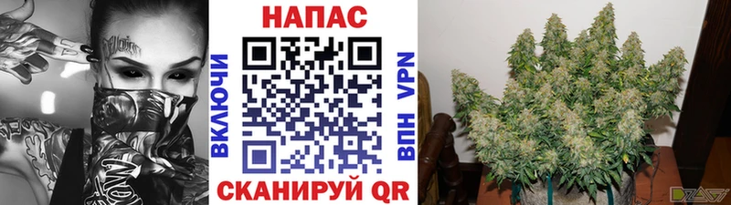 купить наркотики сайты  Кудрово  Марихуана Amnesia 